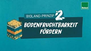 Bioland-Prinzip 2: Bodenfruchtbarkeit fördern für organisch-biologischen Landbau