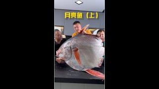 [SUB] 月亮鱼(上) - Moon Fish (Superior) @GaocaipingHeQiaoLaoye