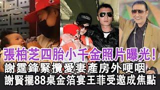 【粵語】張柏芝四胎小千金照片曝光！謝霆鋒緊攬愛妻產房外哽咽 謝賢擺88桌金箔宴王菲受邀成焦點#張柏芝#謝霆鋒#王菲#霍汶希#Lucas#謝振軒#Quintus#謝振南#Marcus#謝賢#星娛記