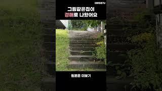 파주 헤이리마을 단독주택경매