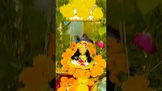 Braj mein ho rahi Jay jaikar  #shyam #raddhe #love #radherdhe ️️️ #laddu #radhye #radheshyam
