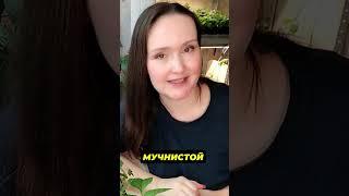 Методы защиты растений от вредителей 