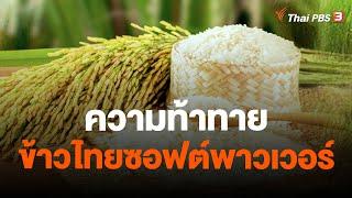 ความท้าทายข้าวไทยซอฟต์พาวเวอร์ | จับสัญญาณเศรษฐกิจ | 2 ม.ค. 67