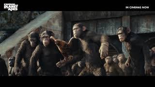 Kingdom Of The Planet Of The Apes | Best Review