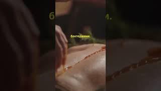 Как древние египтяне использовали мед для лечения ран