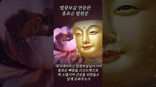 법광보살 연등관 홍효순 발원문 #명상 #인생조언 #용화미륵부처님