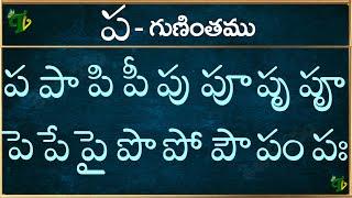 ప గుణింతం | Pa gunintham in Telugu | Pa guninthalu | Telugu varnamala Guninthamulu 2024 updated