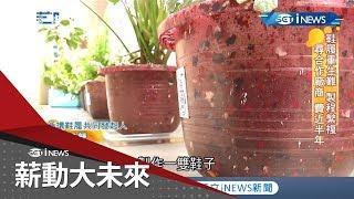 鞋子回收再生成花盆！種植綠色植物淨化空氣賦予鞋子新價值！｜記者周瑜茹 馬家豪｜【薪動大未來】20200528｜三立iNEWS