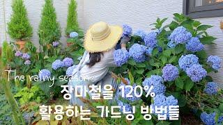 How to do gardening using 120% rainy season