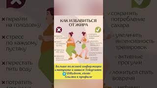Как избавиться от жира