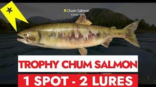 RF4 - RUSSIAN FISHING 4  -  TROPHY CHUM SALMON - 1 SPOT 2 LURES