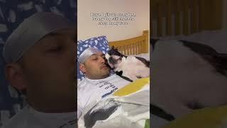 My dog likes to sleep on my face | cute Boston terrier #shorts