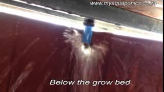 VFS Siphon in Action - Aquaponics Media Grow Bed