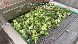 IQF Freezing Machine For Broccoli