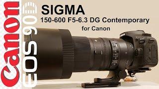 Sigma 150-600 F5-6.3 Contemporary for my Canon 90D. Photos, settings, reasons I'm switching.