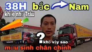 38H chạy Bắc Nam Đầu kéo Howo Max-Sức khỏe Trâu bò cuộc sống mưu sinh chân chính Tại Việt Nam