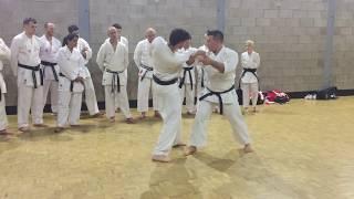 KARATE JUTSU - Wado Ryu Kihon Kumite 1, 4 and 5 with extensions - Summary