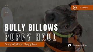 Bully Billows Haul | Unboxing for Salazar