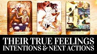 PICK A CARD Their TRUE CURRENT FEELINGS & INTENTIONS Towards YOU!  Psychic Love Tarot Reading