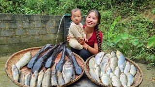 Harvesting fish, marinating fish, preserving fish all year round - cooking with children