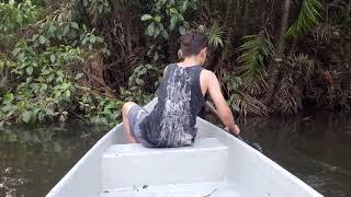 Canoe trips through the rainforest