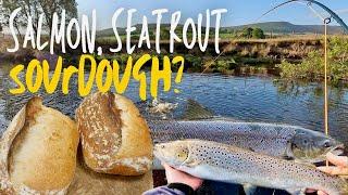 Loaves and Fishes:  Salmon and sea trout fishing on the River Coquet