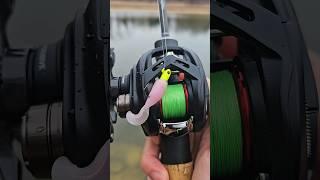 Daiwa Alphas BF TW UL Cast Test for Freestyle BFS