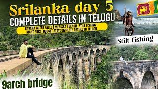 Srilanka tour details in Telugu - Day 5 | 9arch bridge | Ravana falls | Merissa Dolphin Watch #yt