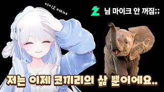 시청자들에게 또 당해버린 희몽님