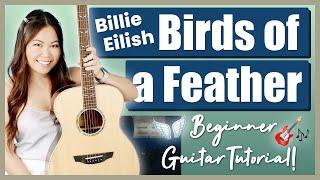 Birds of a Feather Billie Eilish EASY Guitar Lesson Beginner Tutorial | Chords, Strumming & Tab! 