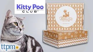 Kitty Poo Club Litter Box Assembly & Review 2021 | TTPM Pet Review