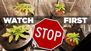 HUGE MISTAKE trying Hydroponic RDWC. Money Pit – TOP 10 Reasons NOT to Hydro