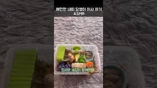 키우기 까다로운 내띠 달팽이 집꾸미기 asmr 🫧                         #달팽이 #달팽이기르기 #달팽이키우기 #반려동물