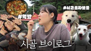 [시골vlog] 산골에 있는 할무니집을 갔더니 상다리는 부러졌고, 댕댕이는 어깨깡패가 됐다 | 일상 브이로그, 추석브이로그