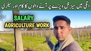 Agriculture Job in Italy | Salary In Agriculture Seasonal Work | AdeelJameelGlobal