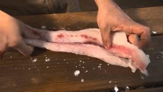 Invasive Carp - Filleting & Cooking