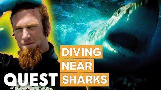 Abalone Diver Is Nervous About Entering Shark-Infested Waters | Dive Wars Australia