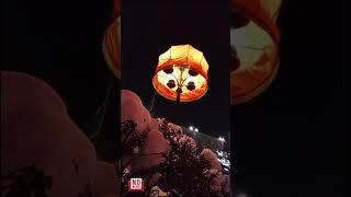 Осторожно! Это видео - антистресс