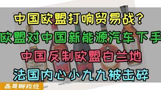 中国和欧盟打起贸易战？欧盟针对中国新能源汽车下手法国支持，中国反制制裁欧盟白兰地，法国破防。法国内心小九九被击碎，中国教法国人学会自由贸易