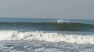 Morning Walk at Arambol Beach | 6th January 2025 | Serene Sunrise Views #goa #arambolgoa #oyster808