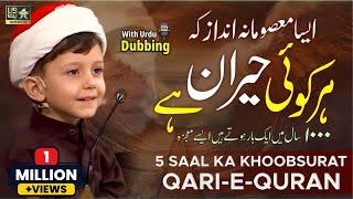 5 Saal Ka Qari | Urdu Dubbed | Mahfel Tv Show | علی نجفی | عبد الباسط | Ali Najafi