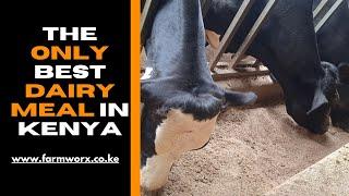 The best dairy meal in Kenya-Guaranteed