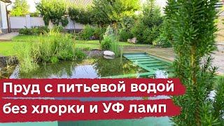 Плавательный пруд с питьевой водой без хлорки и УФ ламп