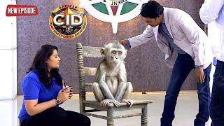 बोलने वाला बन्दर बना CID टीम का नया सदस्य | CID | Emotional Episode | New Tv Serial | सी.आई.डी.