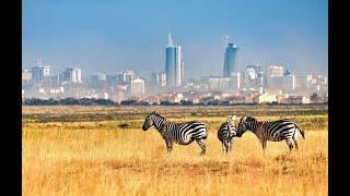 The World's only Wildlife Capital; The Nairobi National Park