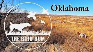 Oklahoma Quail Hunting & Truck Camping--December 2022