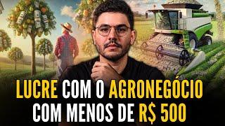 Como lucrar com o agronegócio com pouco dinheiro?