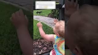Cute baby get lizard on hand #shorts #shortsfeed #share #funny #shortvideo
