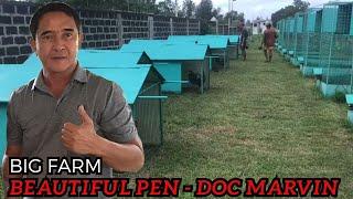 Doc Marvin - Beautiful Pen Big Farm