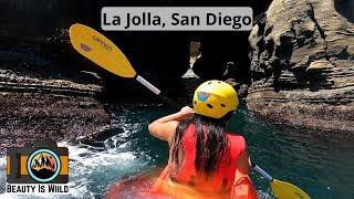 Kayaking Tour in La Jolla: What to Expect on This San Diego Adventure